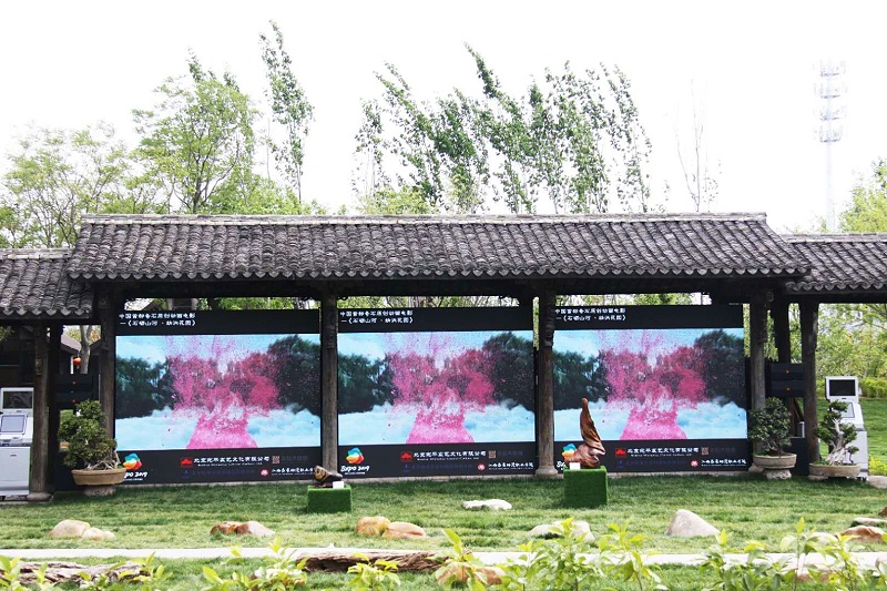 户外蘑菇蘑菇视频APP下载2