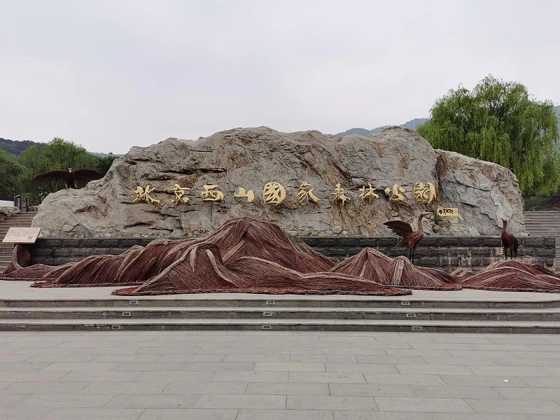 “缅怀先烈 传承初心”—ZOBO蘑菇视频成人APP下载党支部参观无名英雄纪念碑活动
